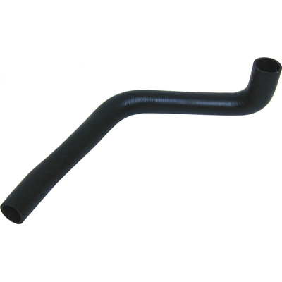 Lower Radiator Or Coolant Hose by URO - C2N1173 pa2