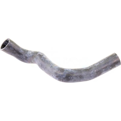 Lower Radiator Or Coolant Hose by VAICO - V30-0146 pa3
