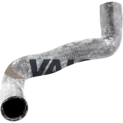 Lower Radiator Or Coolant Hose by VAICO - V30-0146 pa2