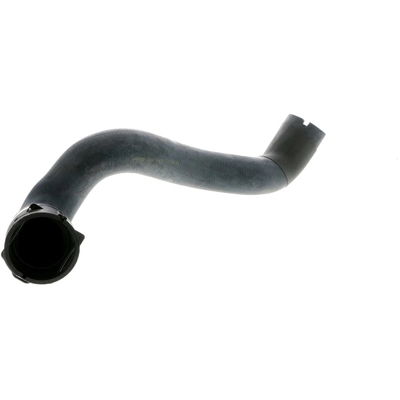 Lower Radiator Or Coolant Hose by VAICO - V30-1459 pa1