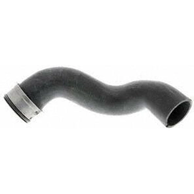 Lower Radiator Or Coolant Hose by VAICO - V30-2917 pa1