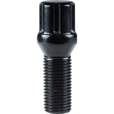 CECO - CD1819SPBK - Lug Bolts (Pack of 20) pa2