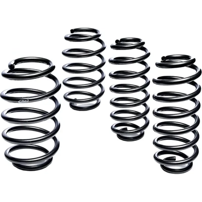 Major Suspension Kit by EIBACH - 2013.140 pa2