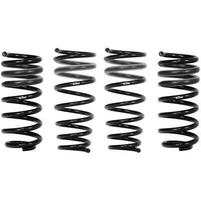 Major Suspension Kit by EIBACH - 2563.140 pa1
