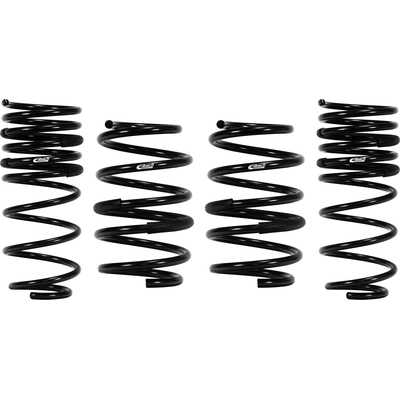 Major Suspension Kit by EIBACH - 38137.140 pa2