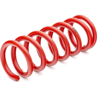 Major Suspension Kit by EIBACH - 4.1035 pa2