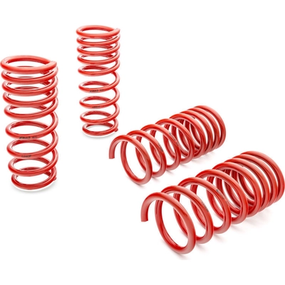 Major Suspension Kit by EIBACH - 4.2040 pa2