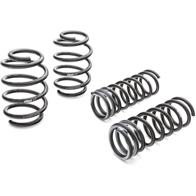 Major Suspension Kit by EIBACH - 4246.140 pa1