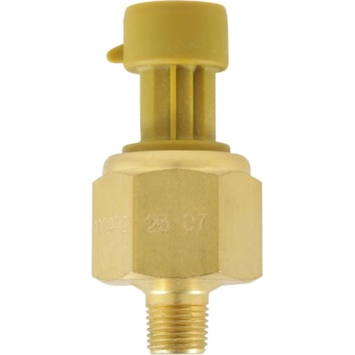 AEM ELECTRONICS - 30-2131-100 - Brass Sensor Kit pa3