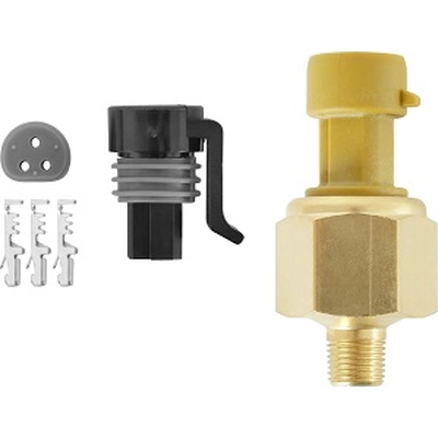 AEM ELECTRONICS - 30-2131-50 - Brass Sensor Kit pa2