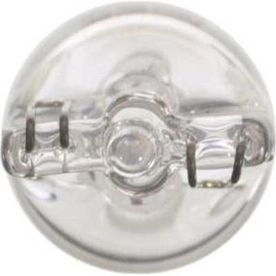 Map Light by WAGNER - BP17097 pa17