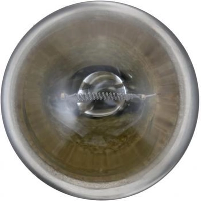 Mini Bulb (Pack of 10) by PHILIPS - 624CP pa2