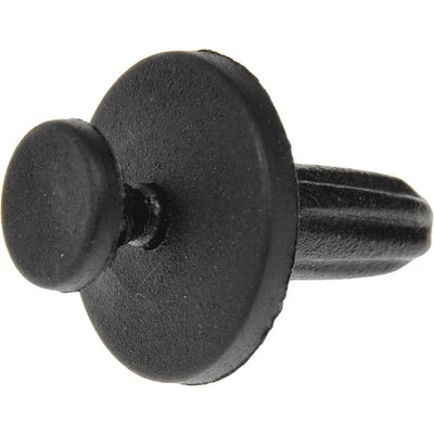 Molding Retainer Or Clip by DORMAN - 45822 pa1