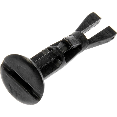 Molding Retainer Or Clip by DORMAN - 700-647 pa1
