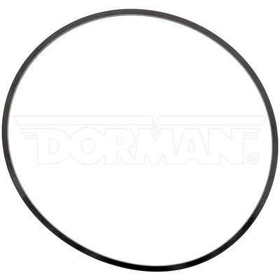 Mounting Adapter Seal by DORMAN (OE SOLUTIONS) - 926-831 pa1