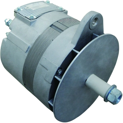 WAI GLOBAL - 7612N - Alternator pa1