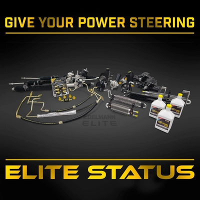 EDELMANN - 2124 - Rack and Pinion Assembly pa2