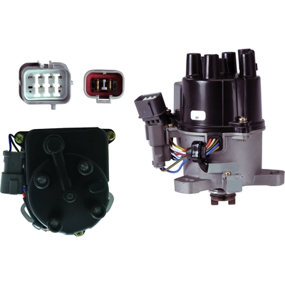 New Distributor by WAI GLOBAL - DST17406 pa5