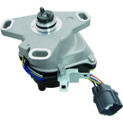 New Distributor by WAI GLOBAL - DST17408 pa5