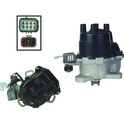 WAI GLOBAL - DST17482 - Ignition Distributor pa3