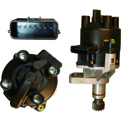 WAI GLOBAL - DST25404 - Ignition Distributor pa4