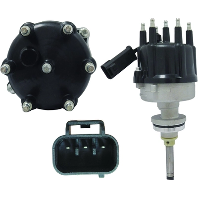New Distributor by WAI GLOBAL - DST3697 pa3
