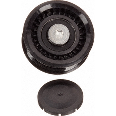 INA - 532-0344-100 - Accessory Drive Belt Idler Pulley pa2