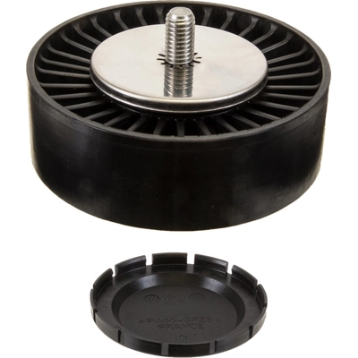 INA - 532-0605-100 - Accessory Drive Belt Idler Pulley pa2