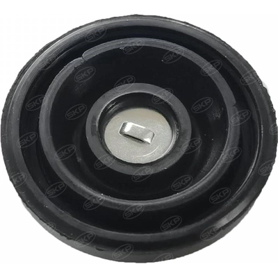 New Master Cylinder by SKP - SKBM133154 pa2