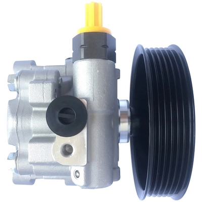 EDELMANN - 6035P - Power Steering Pump pa1