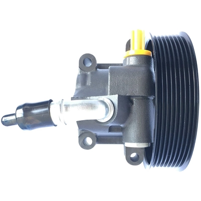 EDELMANN - 6066PX - Power Steering Pump pa1