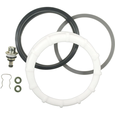 BLUE STREAK (HYGRADE MOTOR) - PR446 - Fuel Pressure Regulator pa3