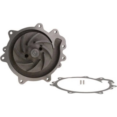 New Water Pump by DAYCO - DP1381 pa1