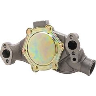 New Water Pump by DAYCO - DP1313 pa2