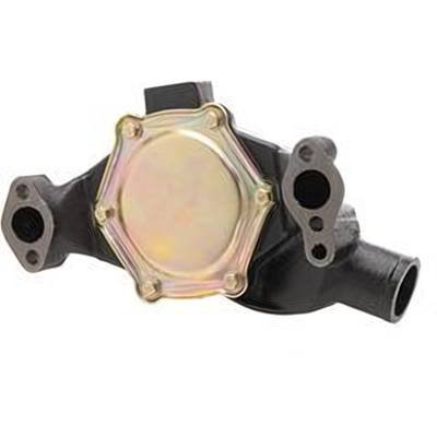 New Water Pump by DAYCO - DP1331 pa1