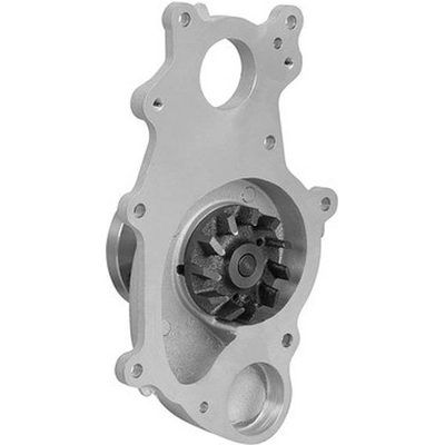 New Water Pump by DAYCO - DP1460 pa9