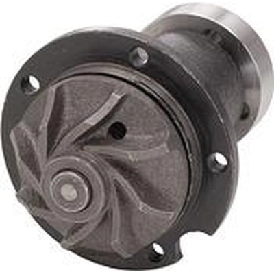 New Water Pump by DAYCO - DP421 pa1