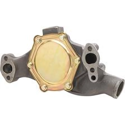 New Water Pump by DAYCO - DP819 pa2