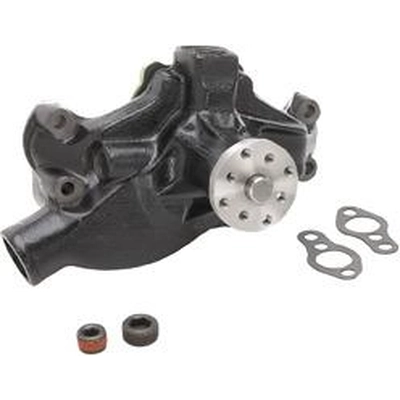 New Water Pump by DAYCO - DP8191 pa1
