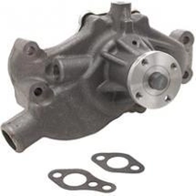 New Water Pump by DAYCO - DP829 pa3