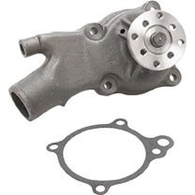 New Water Pump by DAYCO - DP846 pa1