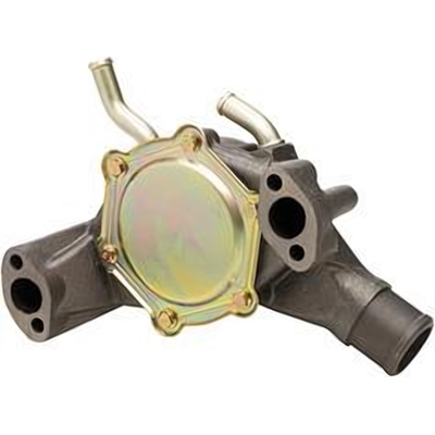 DAYCO - DP957 - New Water Pump pa1