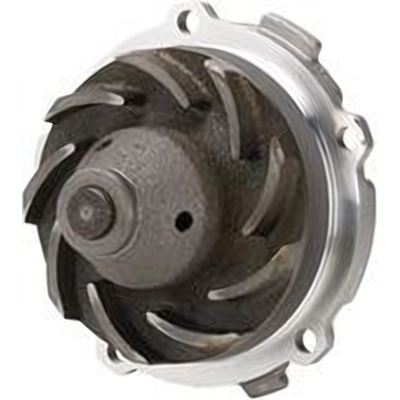 DAYCO - DP960 - New Water Pump pa2