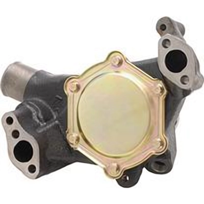 New Water Pump by DAYCO - DP9631 pa1