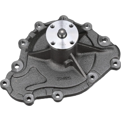 GATES - 43102 - New Water Pump pa10
