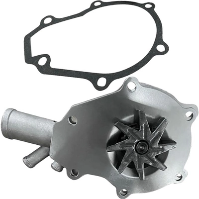 SKP - SK1201060 - Engine Water Pump pa2