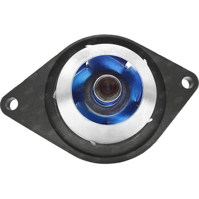 SKP - SK1203072 - Engine Water Pump pa8