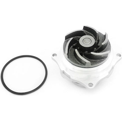 SKP - SK1252100 - Engine Water Pump pa5