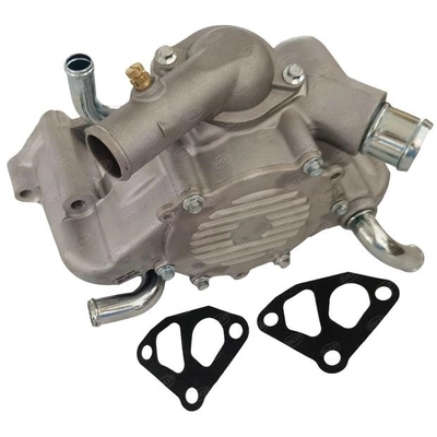 SKP - SK1307100 - Engine Water Pump pa6