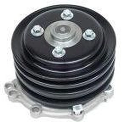 New Water Pump by US MOTOR WORKS - US5000P pa2